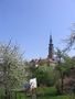 Tovaov 4/2010 - Tovaovsk hrad s v